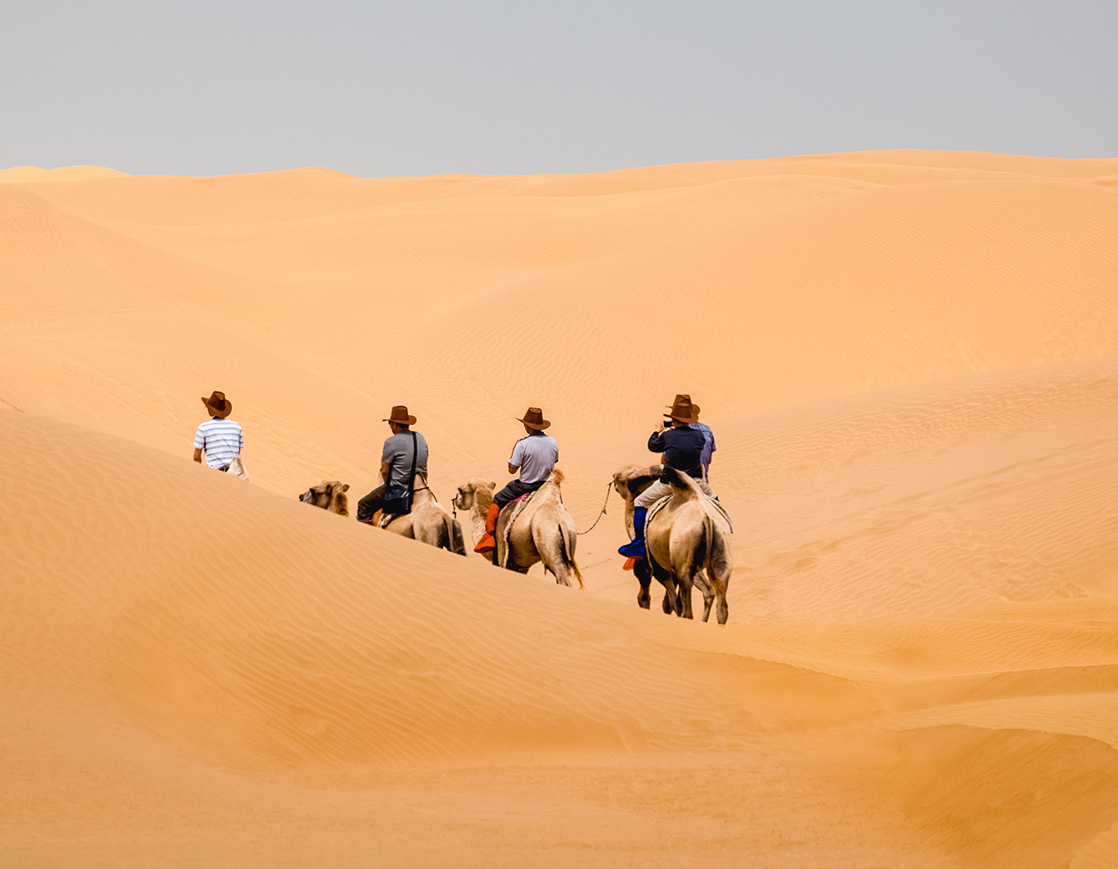 Camel Riding